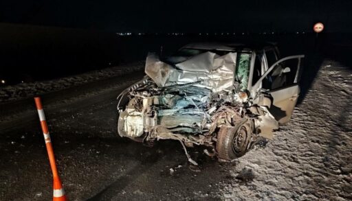 На трассе под Ялуторовском в ДТП пострадала семья, угодив под фуру