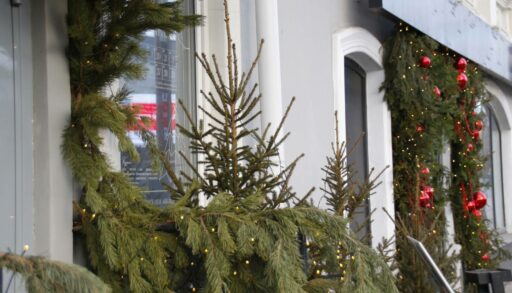 "Свиной" грипп, начало стройки кампуса, Волчья Луна и прогноз до конца зимы