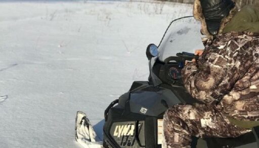 В Тюменской области дан старт зимнему сезону охотресурсов