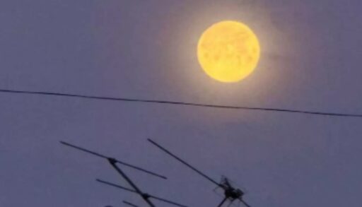 Ночью тюменцы наблюдали Волчью Луну