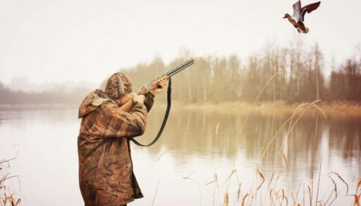 Тюменцам могут разрешить охоту на бакланов