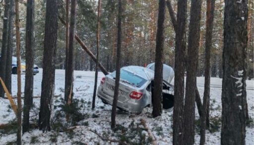 Автолюбительница без прав под Тюменью врезалась в дерево