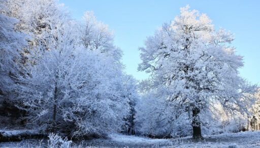 В пятницу в Тюмени ожидается похолодание
