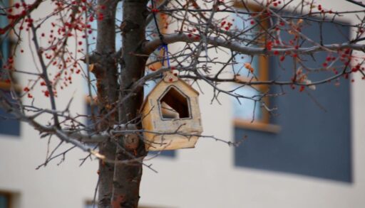 В Тюменской области повысят тариф за капремонт домов