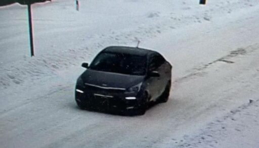 В селе под Тюменью двое неизвестных мужчин похитили 13-летнюю девочку