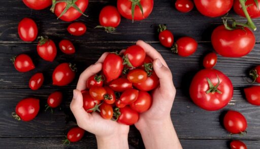 руки держат помидоры