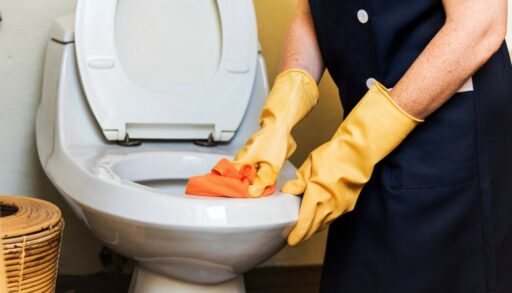 Унитаз моют женские руки