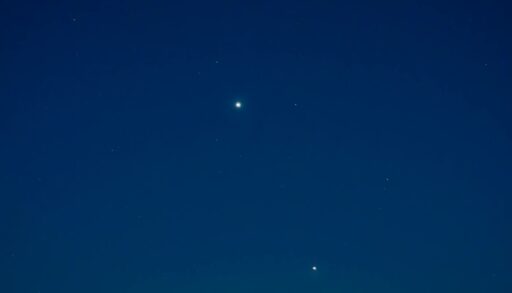 Овнов ждут важные разговоры, Тельцов – приятные новости издалека, а Львов – интересные предложения