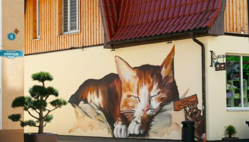 Рисунок на стене с кошкой