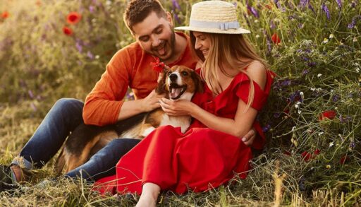 Мужчина и женщина сидят на цветущем поле