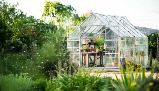 Теплица на дачном участке