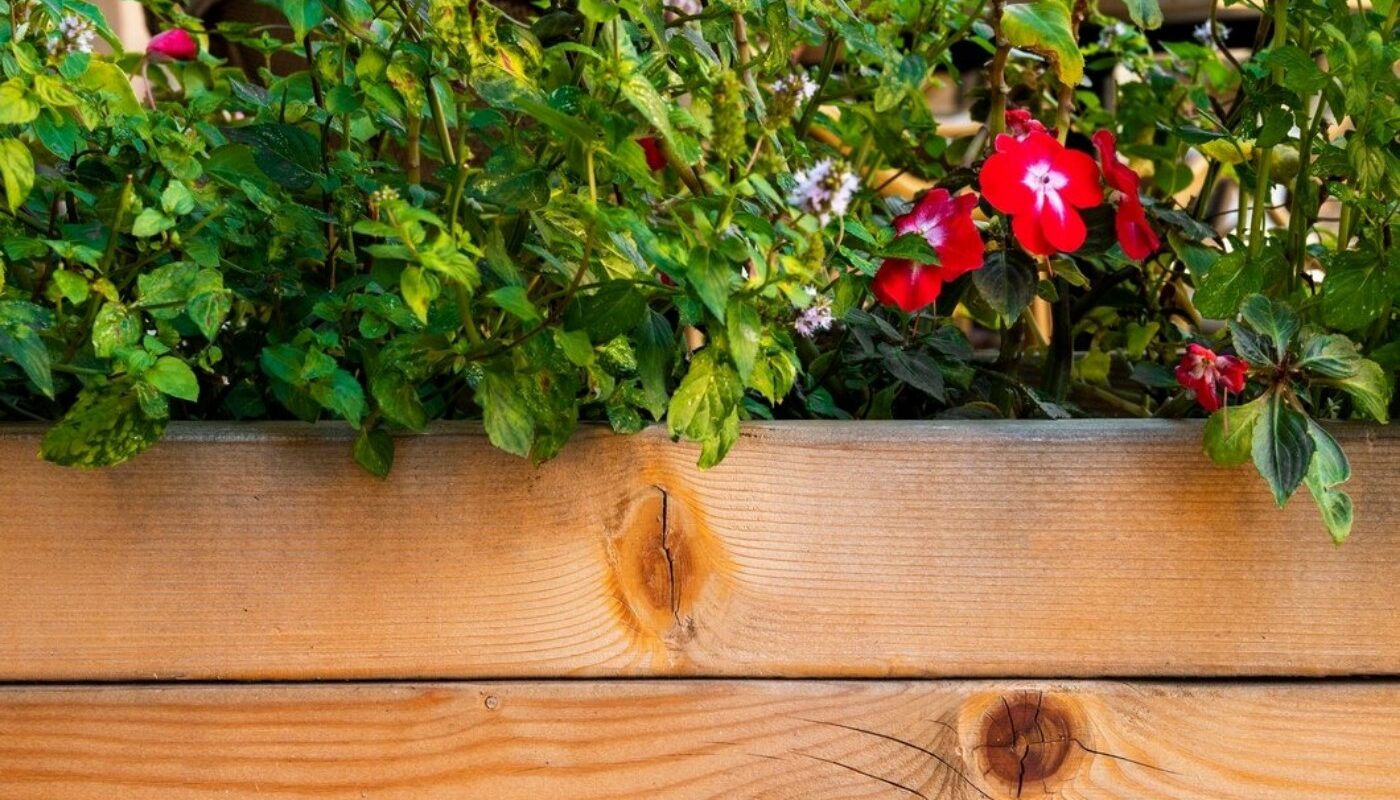 «Деревянная