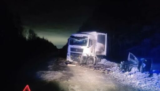 На трассе Тюмень - Курган из-за пьяного дальнобойщика погиб тюменский пенсионер