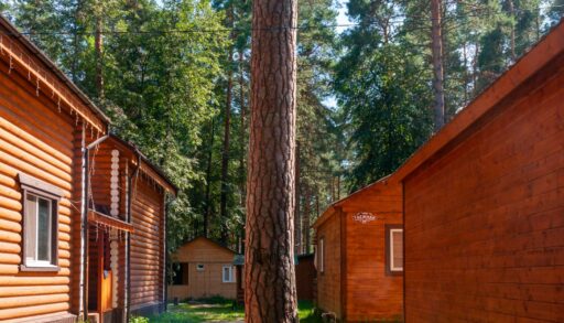 Тюменцы возмущены ценами на путёвки в летние лагеря