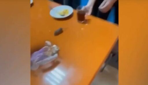 В Ялуторовске по школе бегают крысы и тараканы