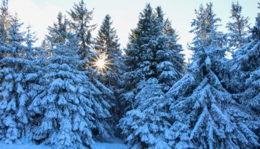 В среду в Тюмень, наконец-то, придут настоящие морозы