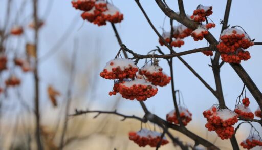 В среду в Тюмени вновь будет ветрено