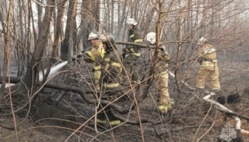 Весной тюменцев ждут масштабные лесные пожары и паводок