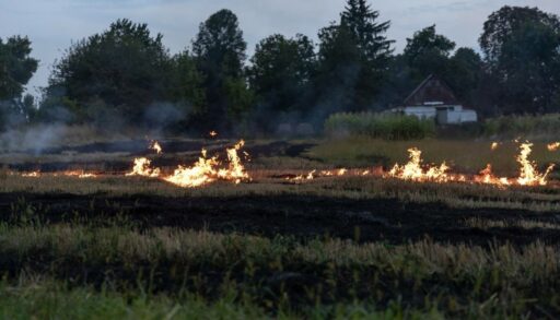 Лесные пожары-2025 могут угрожать более 900 тюменских сел и деревень