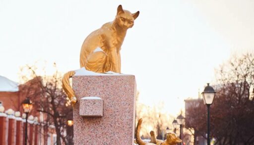 В Тюмени сквер "Сибирских кошек" ждет преображение