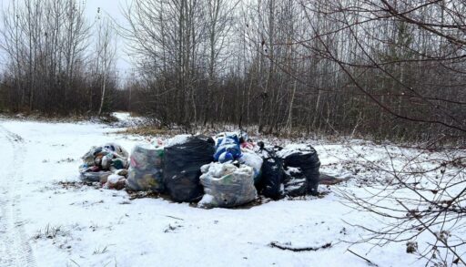 В Тюмени обнаружили 100 несанкционированных свалок