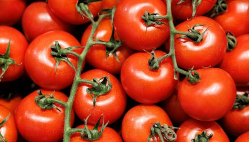 В Тюменскую область пытались провезти 18 тонн томатов из Кыргыстана