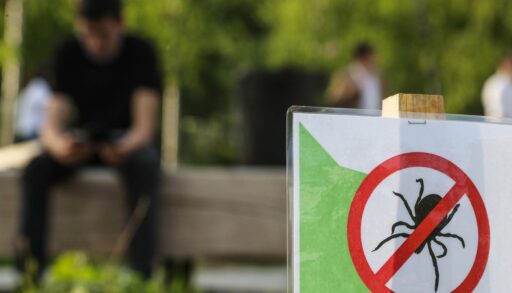 СберСтрахование: в 2024 году полисы по защите от клеща приобрели почти 300 тыс. человек