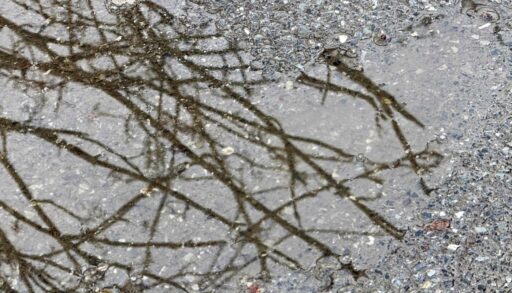 В выходные весна в Тюмени покажет свой капризный характер