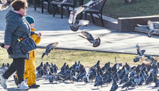 Четверг также порадует тюменцев теплом