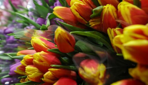 Лайфхак: как подольше сохранить свежесть букета