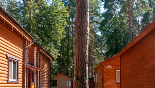 В Тюменской области построят новую базу отдыха с минеральным источником