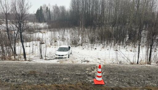 В Тюменской области водитель съехал в кювет из-за зайца
