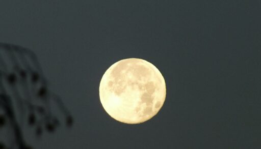 Овнам нужно проявить инициативу, Скорпионов ждут кардинальные перемены в карьере, а Рыб – важные переговоры с партнером