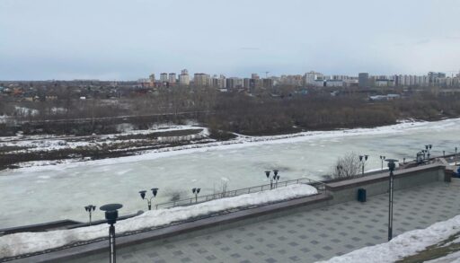 о вторник в Тюмени ожидаются снег, дождь и туман