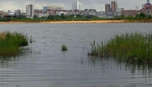 На озере Алебашево в Тюмени расчистят участок более 2 км