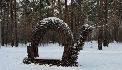 В пятницу в Тюмени снега не будет и похолодает