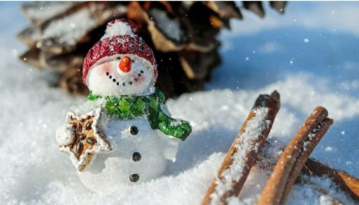 Прошедшая зима в Тюмени побила рекорд за последние 139 лет