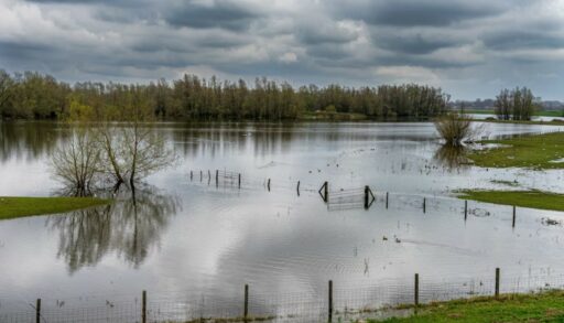 затопленная дачная территория