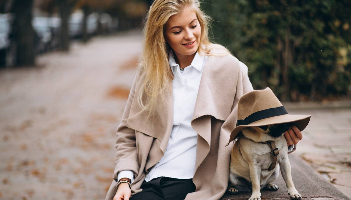 «Привлекательная