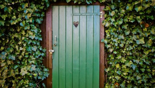 дачный туалет с зеленой дверью в саду