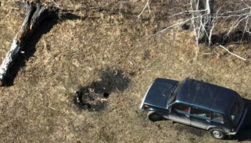 Шестеро тюменцев будут наказаны за посещение лесов во время противопожарного режима