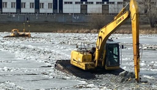 В Тюмени началась расчистка Утиного пруда