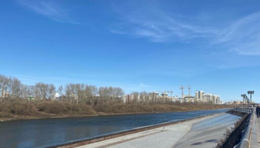 Тюменскую набережную обработали от клещей