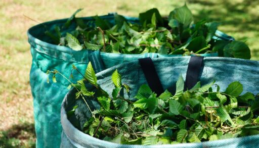 Огород компост из листьев деревьев