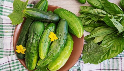 Огурцы свежие на засолку