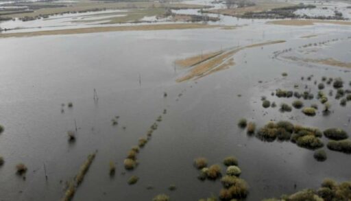 В двух районах Тюменской области вводится режим ЧС из-за паводка