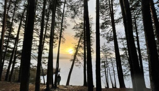 Глэмпинг или кемпинг: тюменцев захватил тренд на релакс в лесу