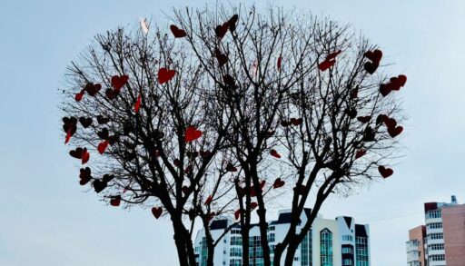 Ночью в Тюмени может похолодать до -3 градусов