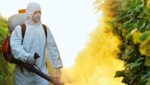 Тюменские власти рассказали, какие территории обработают от клещей до 1 мая