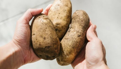 руки держат картофель